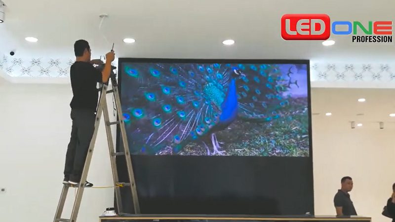 Thi công màn hình LED fullcolor P2.5 trong nhà cho shop Nem Hải Phòng