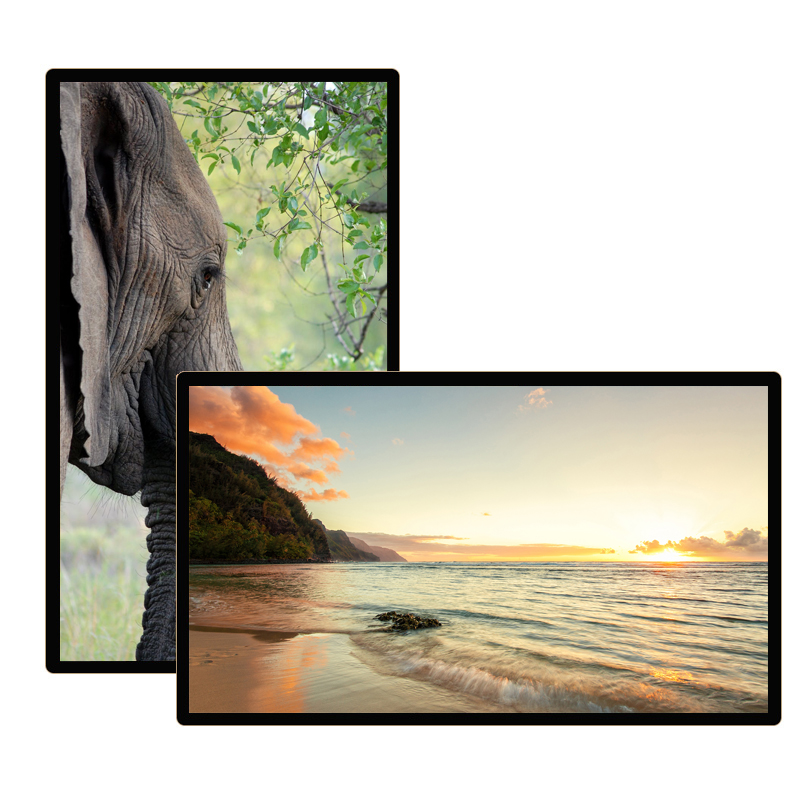 Màn hình quảng cáo Châu Âu 65 inch Ultra HD Signage Displays